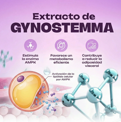 Lemme Burn, toma el control de tu cuerpo