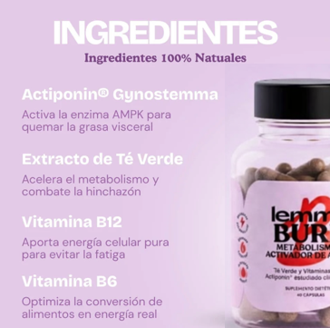 Lemme Burn, toma el control de tu cuerpo